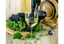 VINO